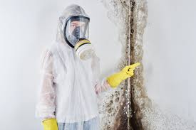 Best Mold Remediation for Healthcare Facilities  in Brilliant, OH